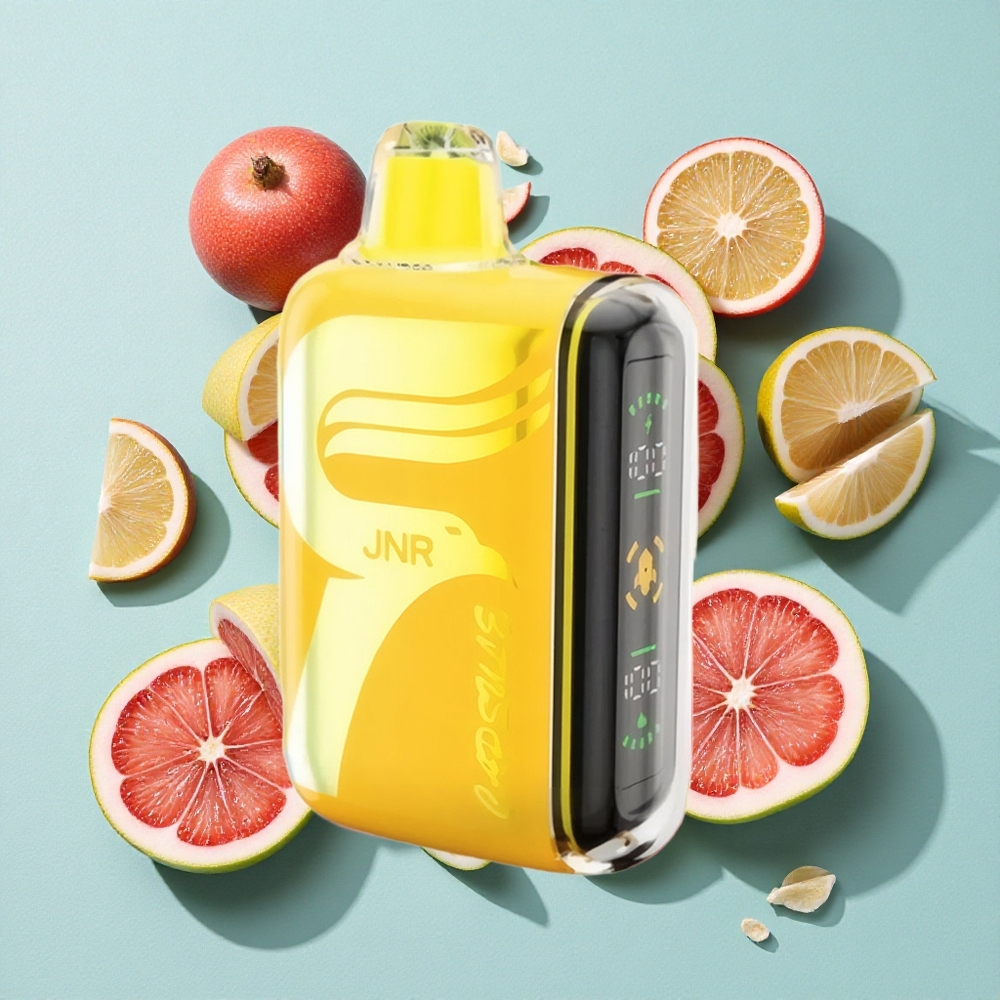 JNR Capsule 15000 Puffs 20ml 850mAh Taopical Punch Brasil vape