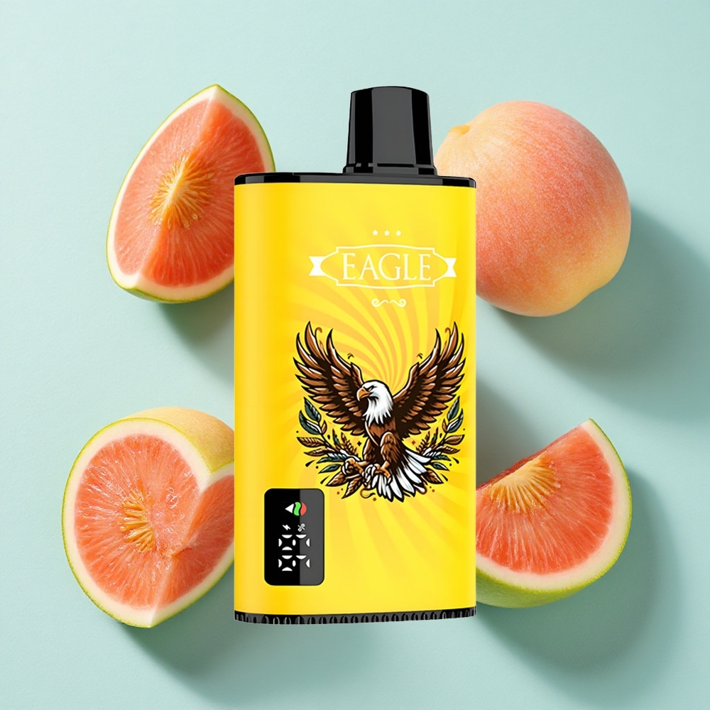JNR EAGLE Smart 23000 Puffs Pêssego Manga Melancia Tela Digital Bobina Mesh 1.0ohm Brasil vape