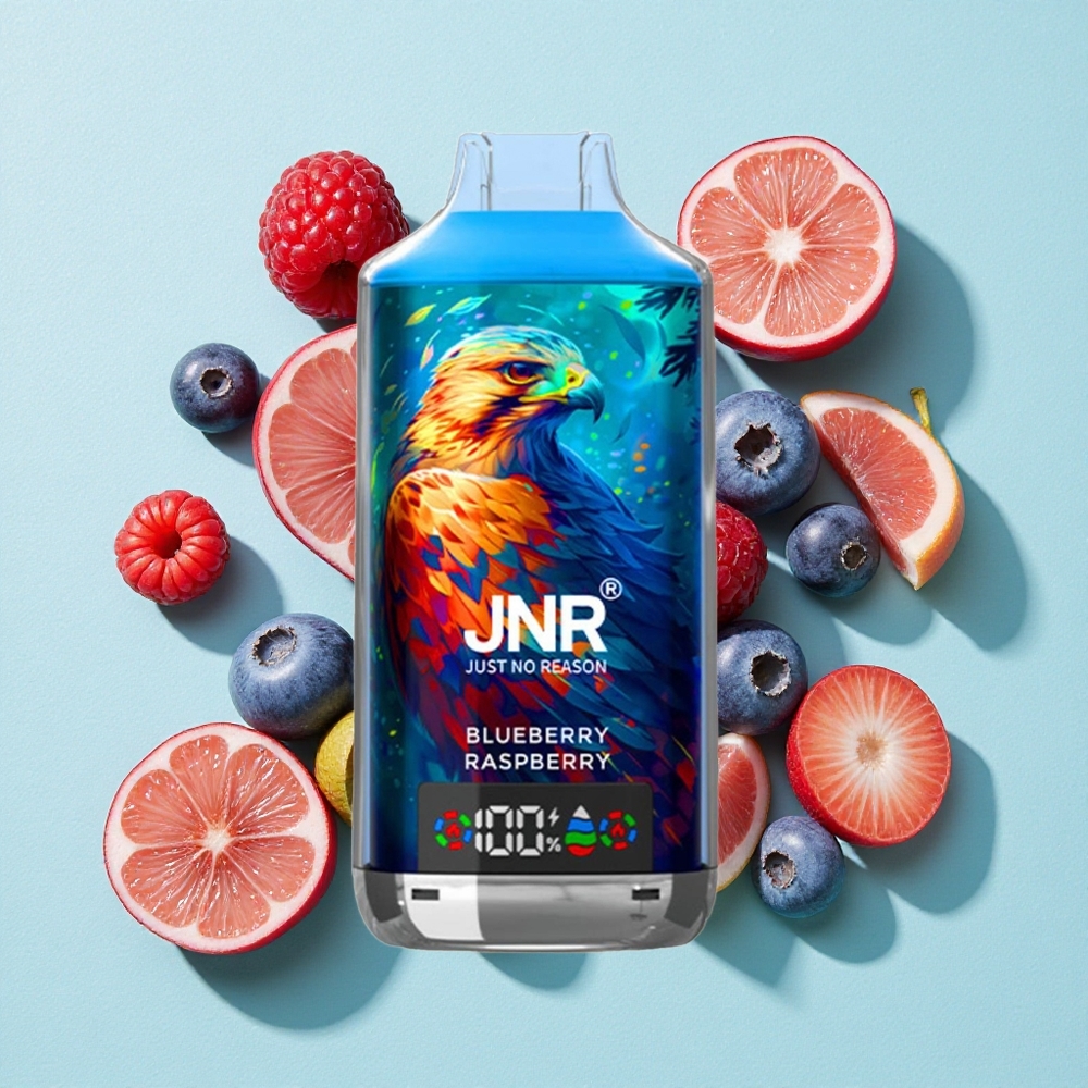 JNR Falcon X 18000 Puffs (Bateria: 750mAh, E-líquido: 24ml) Mirtilo Framboesa Brasil vape