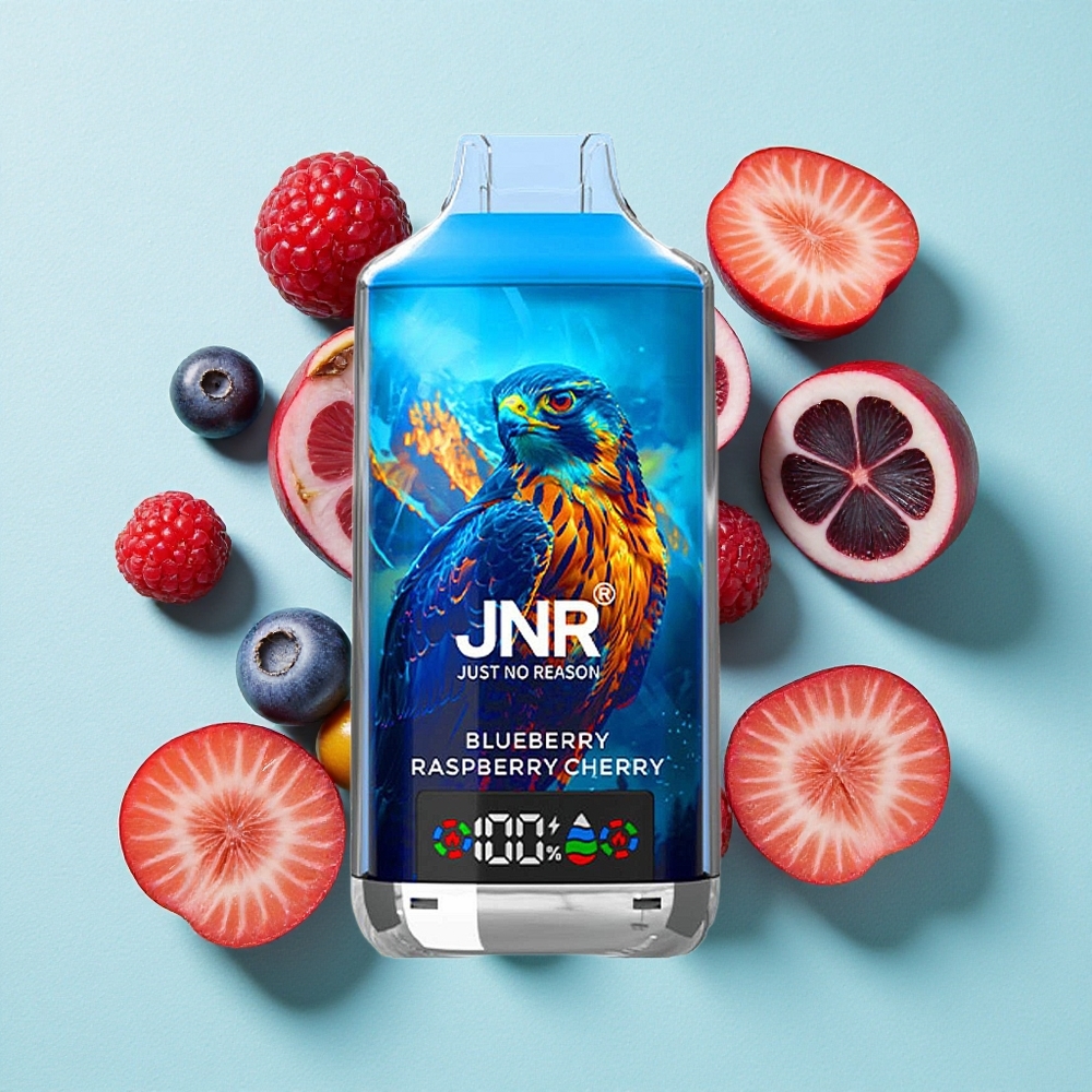 JNR Falcon X 18000 Puffs Blueberry Framboesa Cereja Capacidade da Bateria: 750mAh Tipo de Carga: Tipo-C Carga Rápida Brasil vape