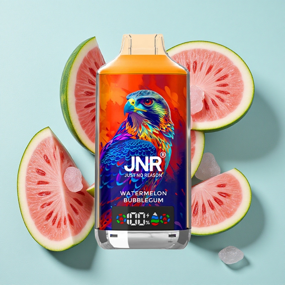 JNR Falcon X 18000 Puffs Dispositivo Vaporizador Descartável Melancia Chiclete com Capacidade da Bateria 750mAh Brasil vape