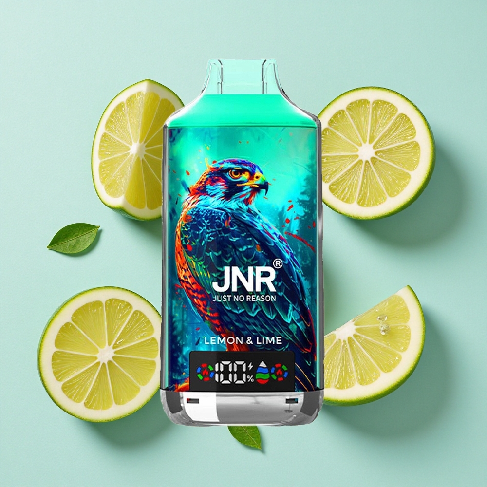JNR Falcon X 18000 Puffs Limão Lima Capacidade da Bateria: 750mAh Tipo de Carga: Carregamento Rápido Type-C Brasil vape