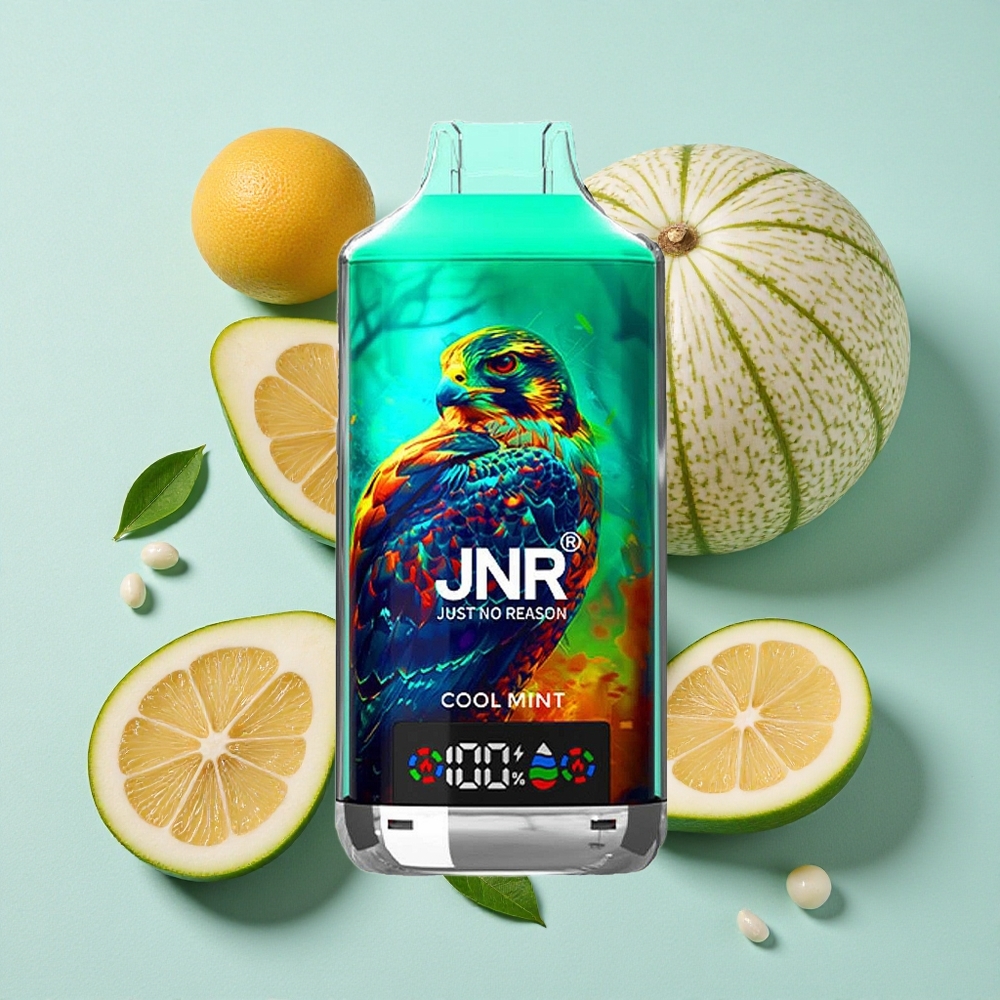 JNR Falcon X 18000 Puffs Menta Fresca Brasil vape com Bateria de 750mAh e Capacidade de E-líquido de 24ml