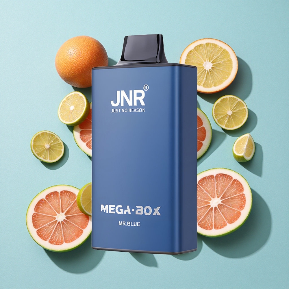JNR Mega Box 25000 Puffs 30ml Capacidade de E-líquido Mr Azul Brasil vape