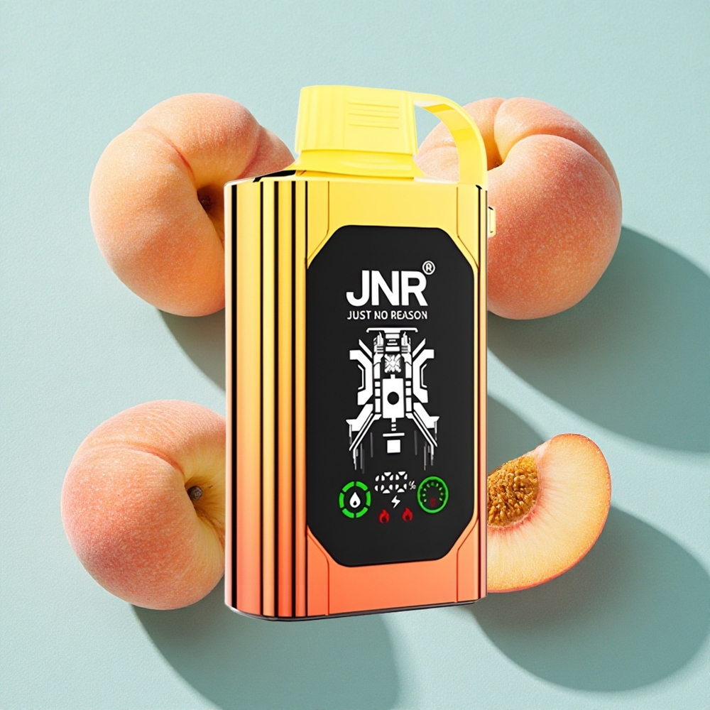 JNR Shisha Hookah Box 20500 Puffs E-líquido 25ml Pêssegos Suculentos HD Display Brasil vape