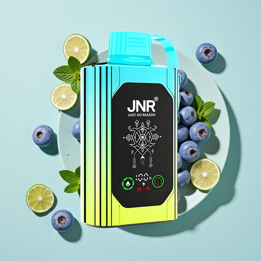 JNR Shisha Hookah Box 20500 Puffs Mirtilo Menta Tela HD Carga Rápida Type-C Brasil vape