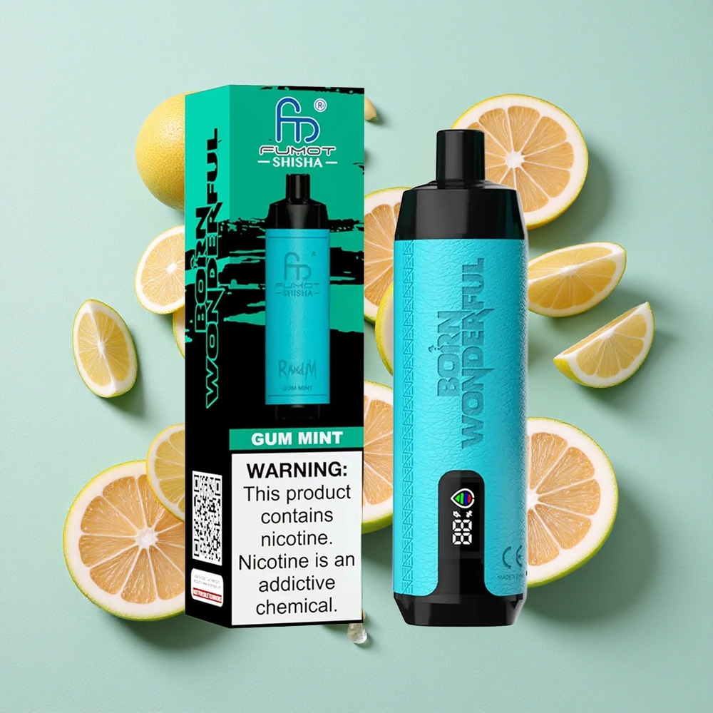 RandM Fumot Shisha 10000 Puffs Goma Menta 18ml e-líquido pré-carregado 850 mAh Brasil vape